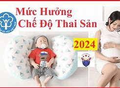 Chế Độ Thai Sản Tháng 7 Năm 2024