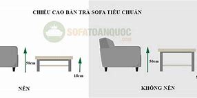 Chiều Cao Tiêu Chuẩn Sofa