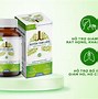 Xuyên Tâm Liên Chữa Bệnh Gì